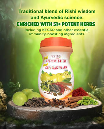 Patanjali Special Chyawanprash 1KG - Image 3